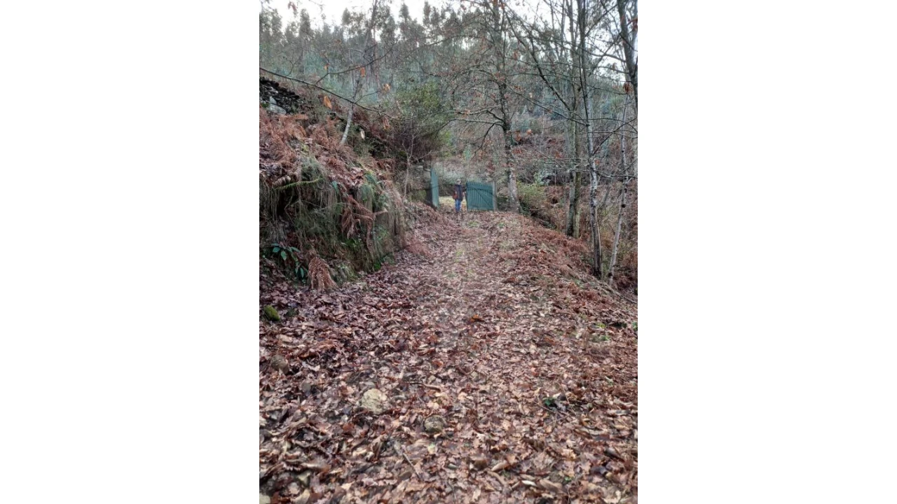 Moradia T2 para Venda em Nespereira Foto 2