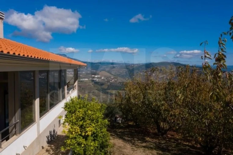 Quinta T7 para Venda em Penajoia