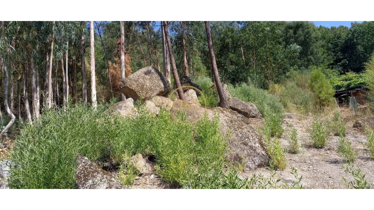 Terreno para Venda em Monte Córdova Foto 2