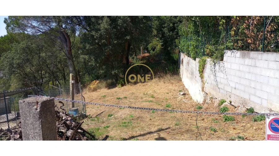 Terreno para Venda em Monte Córdova Foto 1