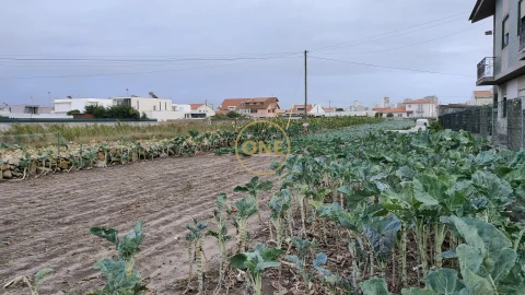 Terreno para Venda em Aver-O-Mar, Amorim e Terroso