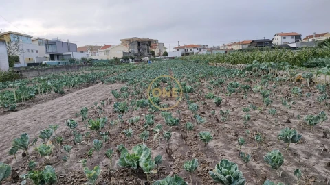 Terreno para Venda em Aver-O-Mar, Amorim e Terroso
