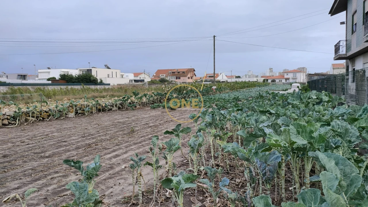 Terreno para Venda em Aver-O-Mar, Amorim e Terroso Foto 4
