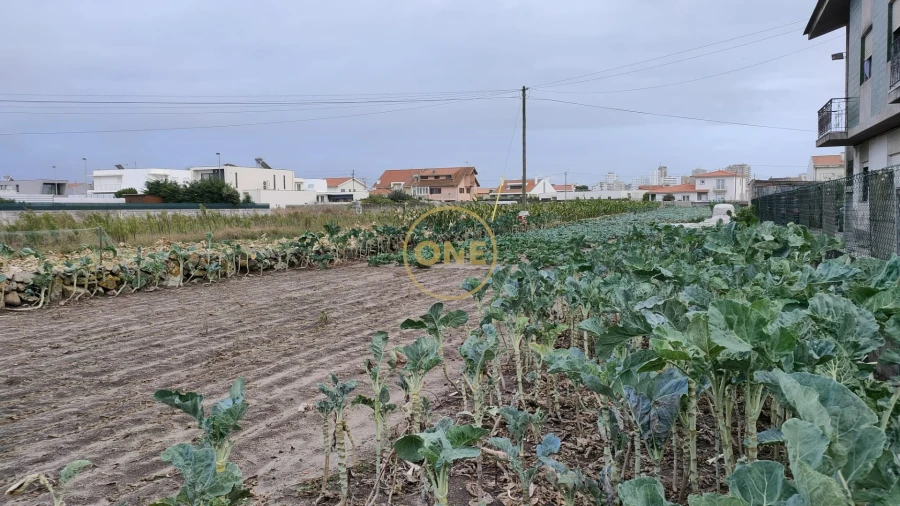 Terreno para Venda em Aver-O-Mar, Amorim e Terroso Foto 4