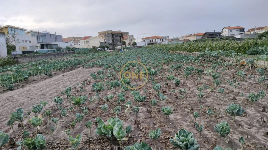 Terreno para Venda em Aver-O-Mar, Amorim e Terroso Foto 7