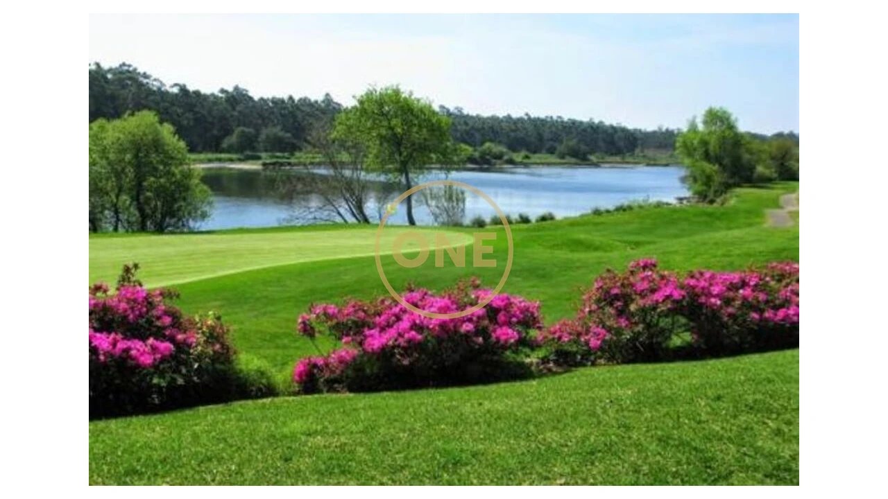 Loja para Venda em Gemeses Foto 3