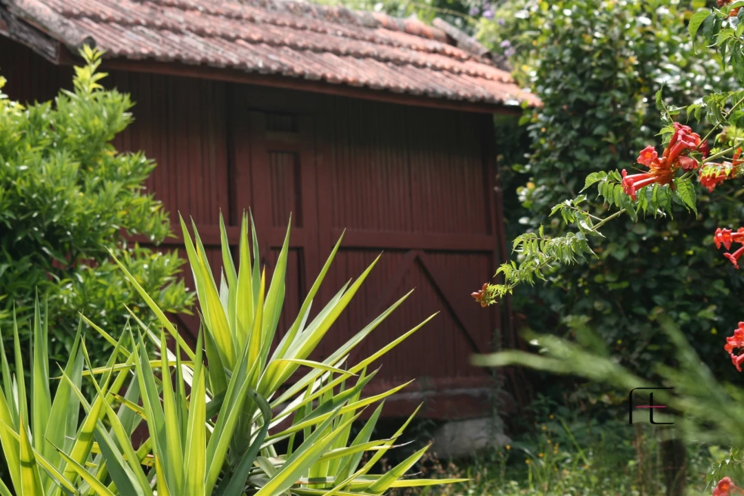 Moradia T7 para Venda em Arnoia Foto 51