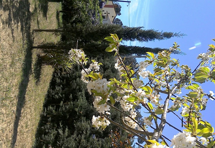 Moradia T7 para Venda em Arnoia Foto 53