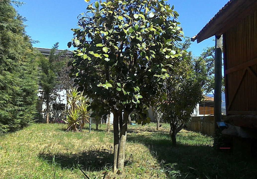 Moradia T7 para Venda em Arnoia Foto 52