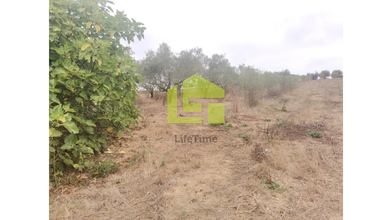 Quinta T2 para Venda em Vinha da Rainha Foto 7