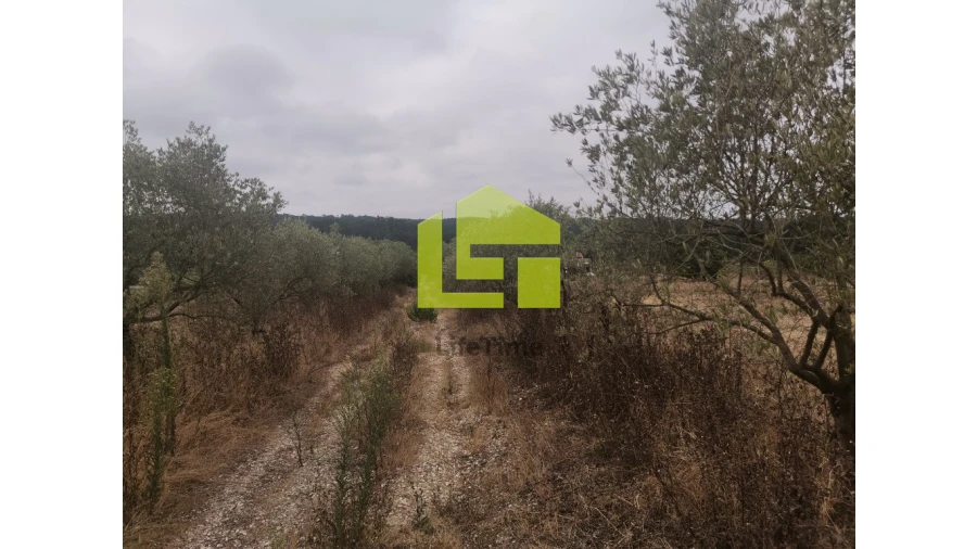 Quinta T2 para Venda em Vinha da Rainha Foto 10