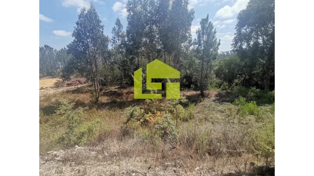 Terreno para Venda em Pombal Foto 2