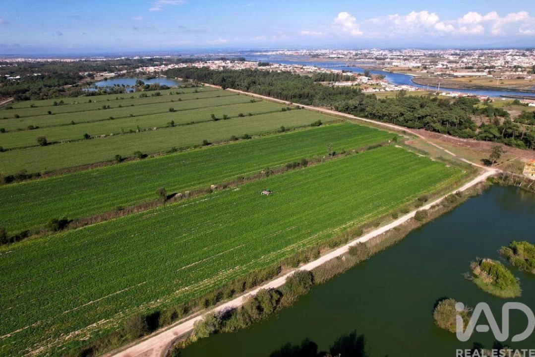 Moradia T8 para Venda em Ílhavo (São Salvador) Foto 3