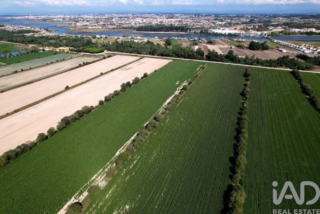 Moradia T8 para Venda em Ílhavo (São Salvador) Foto 15