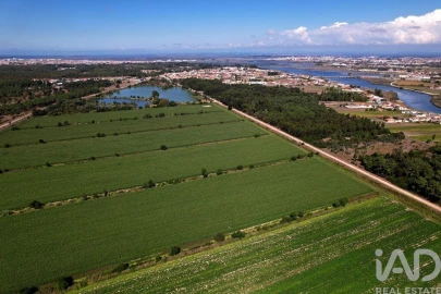 Moradia T8 para Venda em Ílhavo (São Salvador)