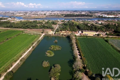 Moradia T8 para Venda em Ílhavo (São Salvador)