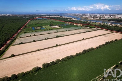 Moradia T8 para Venda em Ílhavo (São Salvador)