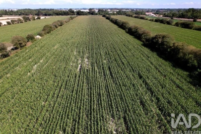 Moradia T8 para Venda em Ílhavo (São Salvador)