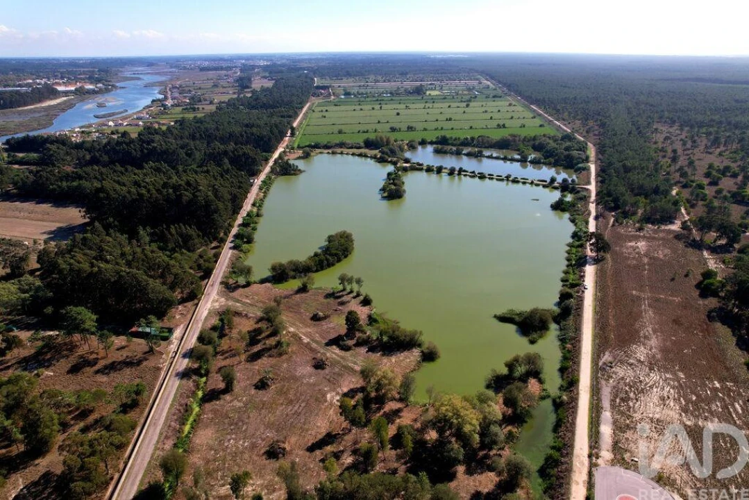 Moradia T8 para Venda em Ílhavo (São Salvador) Foto 18