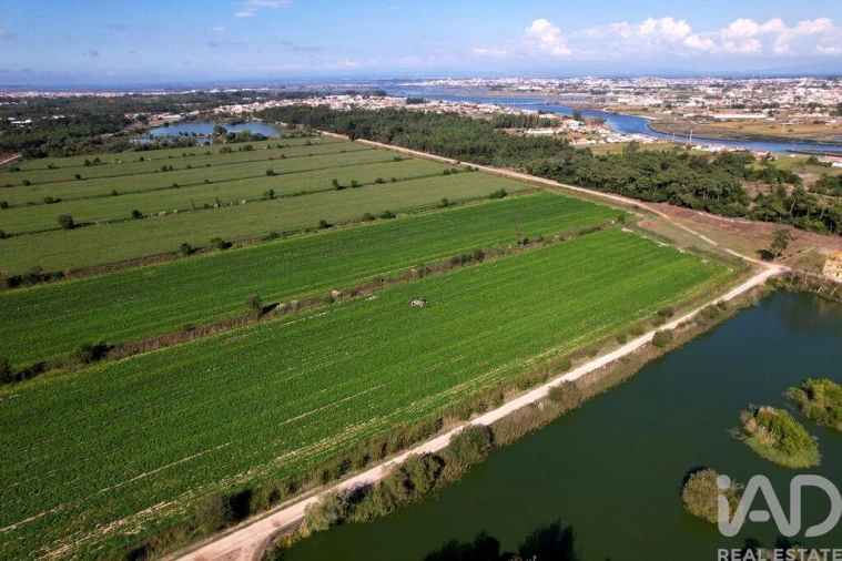 Moradia T8 para Venda em Ílhavo (São Salvador) Foto 3