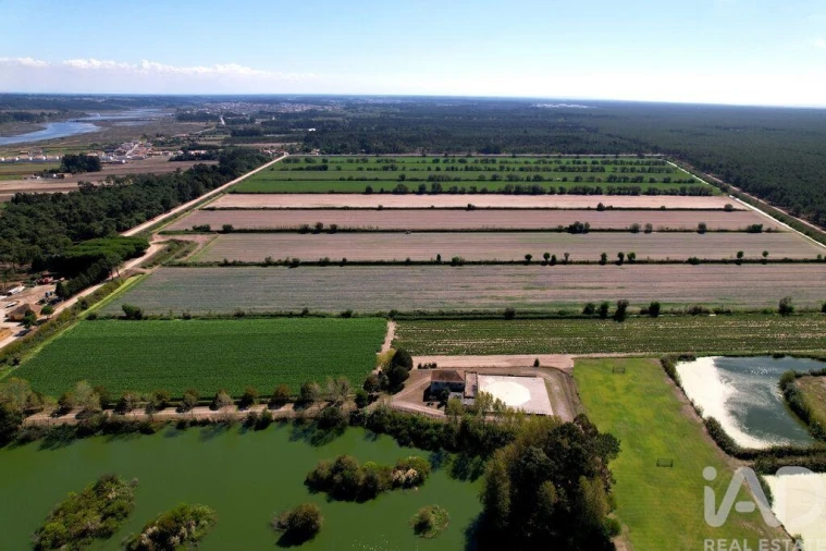 Moradia T8 para Venda em Ílhavo (São Salvador) Foto 10