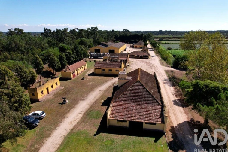 Moradia T8 para Venda em Ílhavo (São Salvador) Foto 2