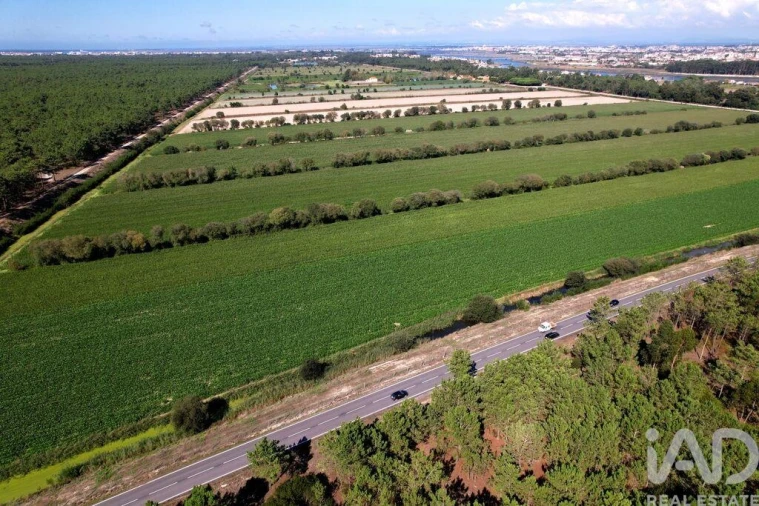 Moradia T8 para Venda em Ílhavo (São Salvador) Foto 16