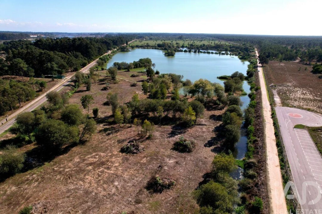 Moradia T8 para Venda em Ílhavo (São Salvador) Foto 17
