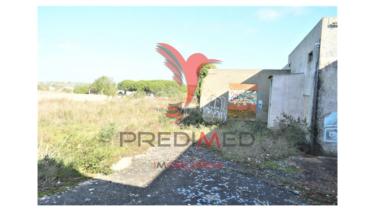 Terreno para Venda em Santa Maria e São Miguel, São Martinho, São Pedro Penaferrim Foto 7