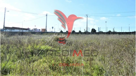 Terreno para Venda em Santa Maria e São Miguel, São Martinho, São Pedro Penaferrim