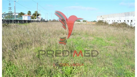 Terreno para Venda em Santa Maria e São Miguel, São Martinho, São Pedro Penaferrim