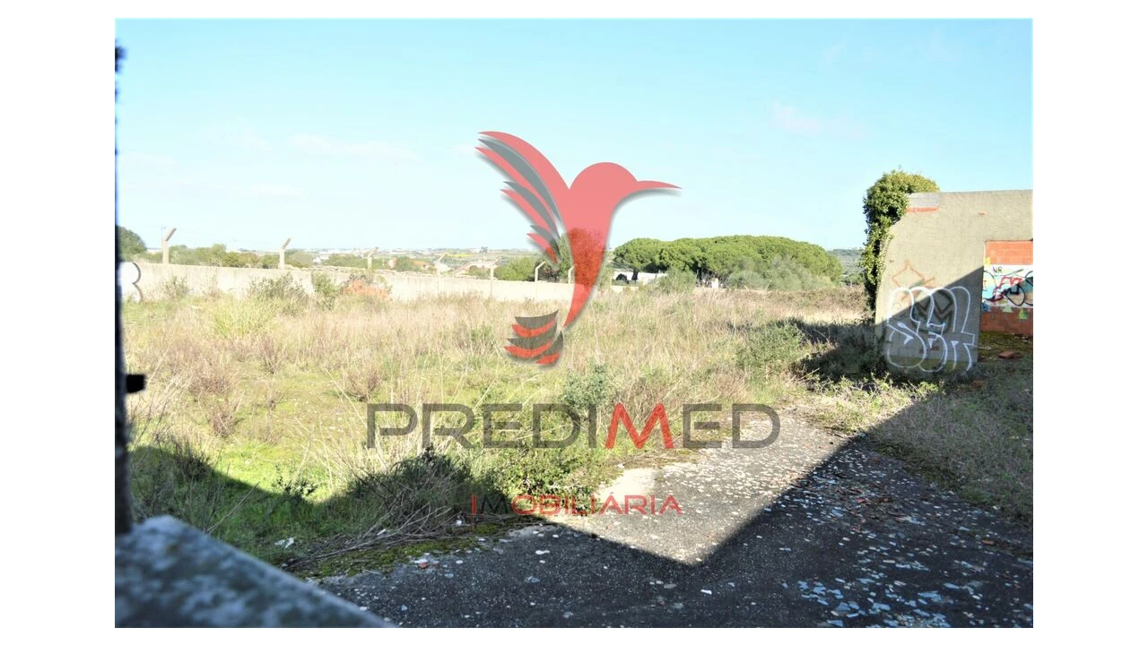 Terreno para Venda em Santa Maria e São Miguel, São Martinho, São Pedro Penaferrim Foto 9
