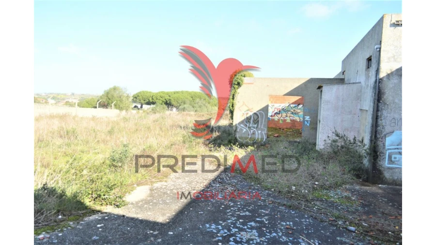 Terreno para Venda em Santa Maria e São Miguel, São Martinho, São Pedro Penaferrim Foto 7