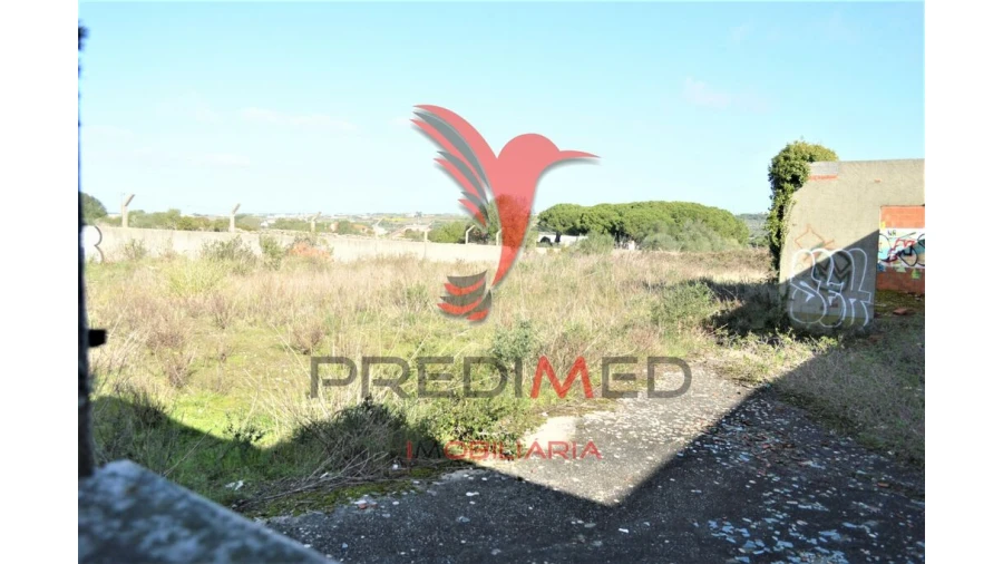 Terreno para Venda em Santa Maria e São Miguel, São Martinho, São Pedro Penaferrim Foto 9