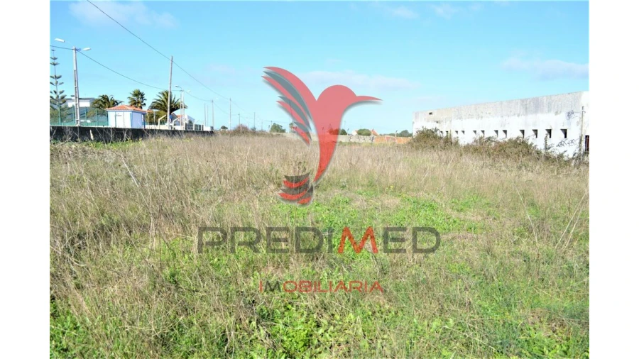 Terreno para Venda em Santa Maria e São Miguel, São Martinho, São Pedro Penaferrim Foto 11