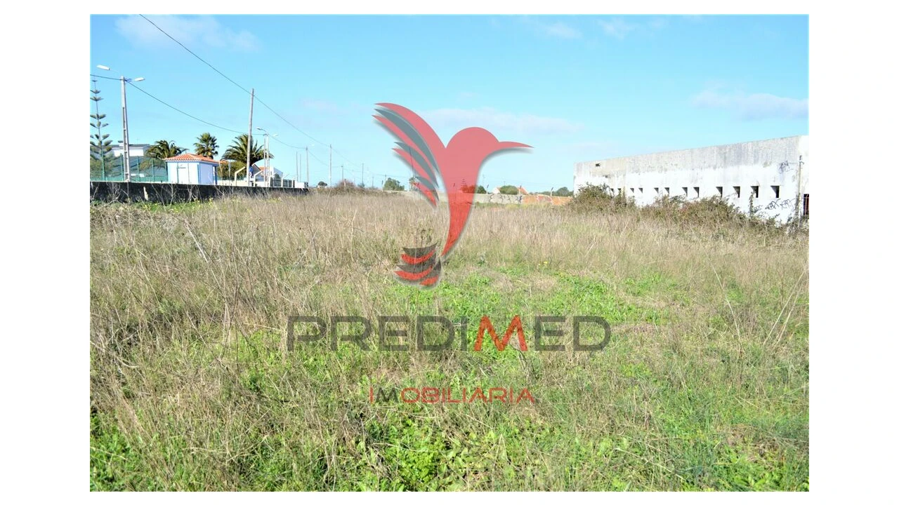 Terreno para Venda em Santa Maria e São Miguel, São Martinho, São Pedro Penaferrim Foto 11