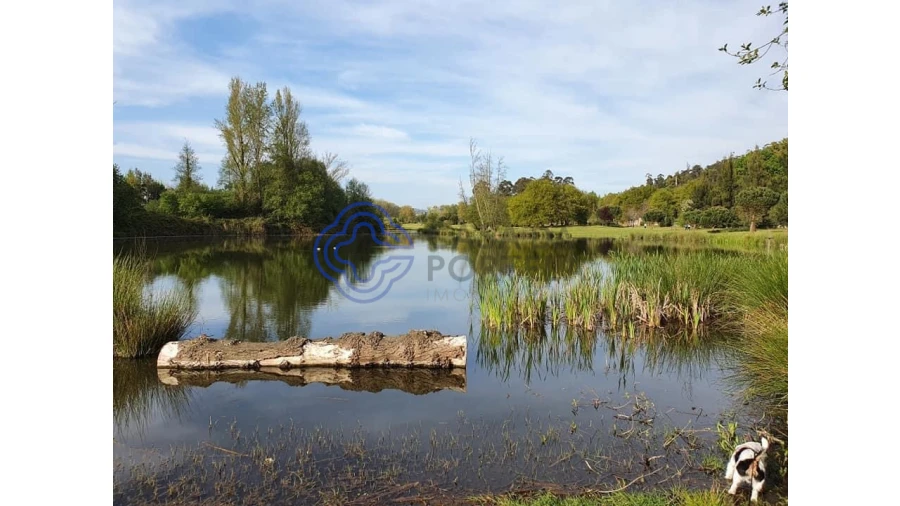 Negócio para Trespasse em Antas e Abade de Vermoim Foto 3