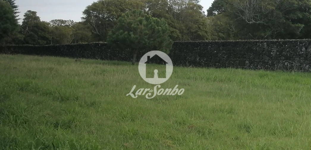 Terreno P/ Prédio para Venda em Rosto do Cão (Livramento) Foto 4