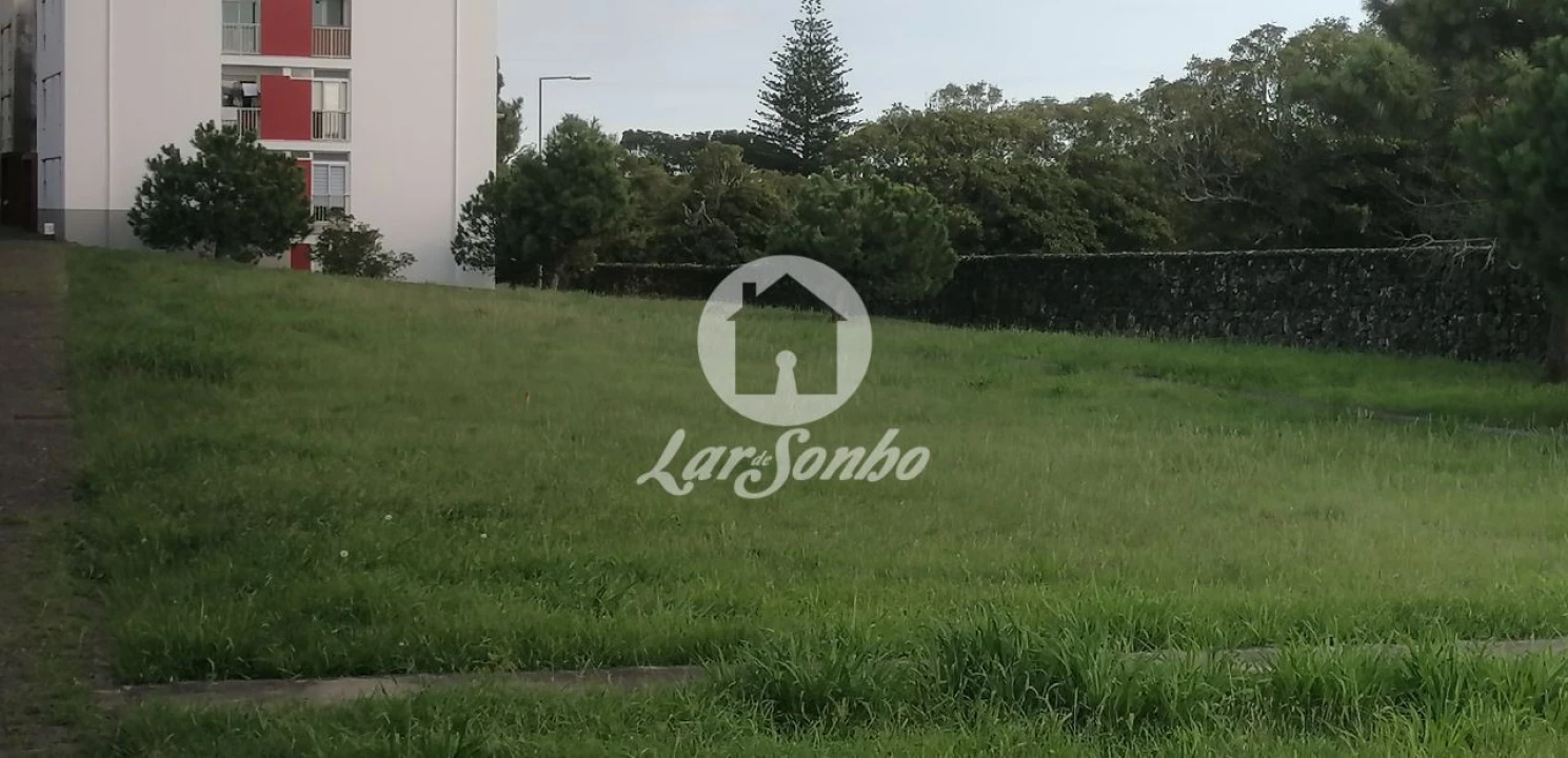 Terreno P/ Prédio para Venda em Rosto do Cão (Livramento) Foto 6