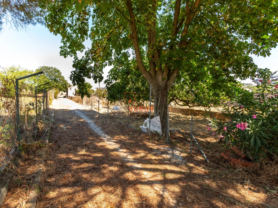 Moradia T4 para Venda em Minde Foto 7