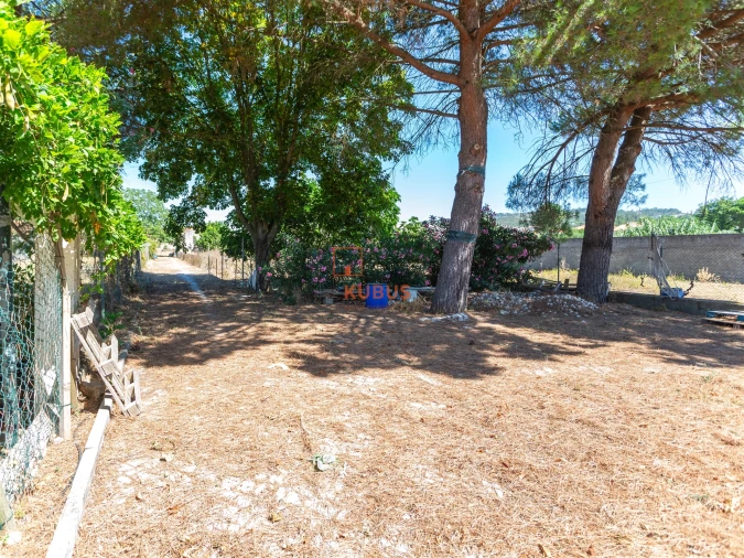 Moradia T4 para Venda em Minde Foto 6