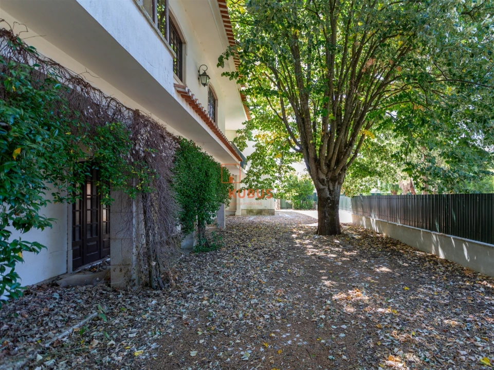 Moradia T4 para Venda em Minde Foto 8