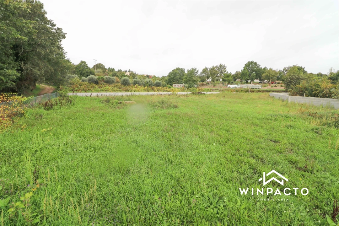 Terreno Agricola ou Rústico para Venda em Senhorim Foto 11