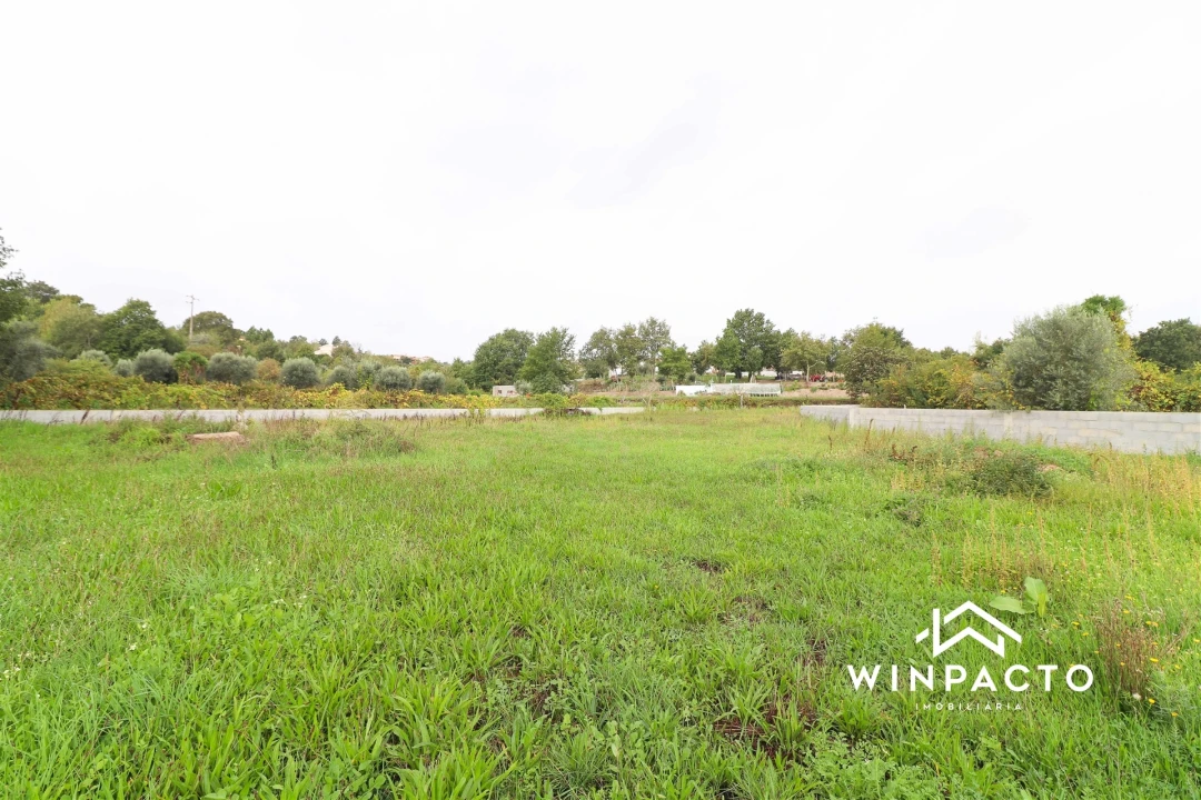 Terreno Agricola ou Rústico para Venda em Senhorim Foto 5