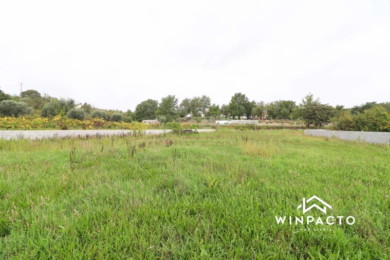 Terreno Agricola ou Rústico para Venda em Senhorim Foto 6