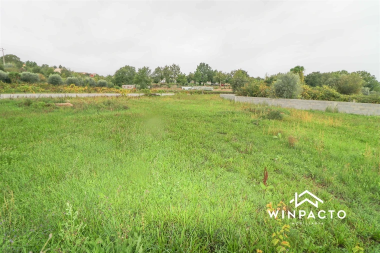 Terreno Agricola ou Rústico para Venda em Senhorim Foto 1