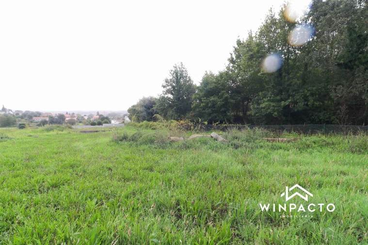 Terreno Agricola ou Rústico para Venda em Senhorim Foto 8