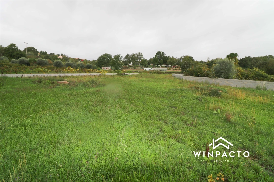 Terreno Agricola ou Rústico para Venda em Senhorim Foto 10