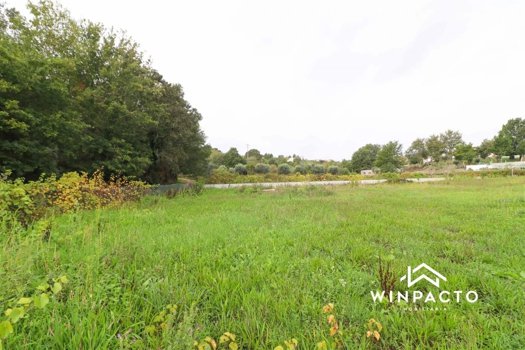 Terreno Agricola ou Rústico para Venda em Senhorim Foto 4