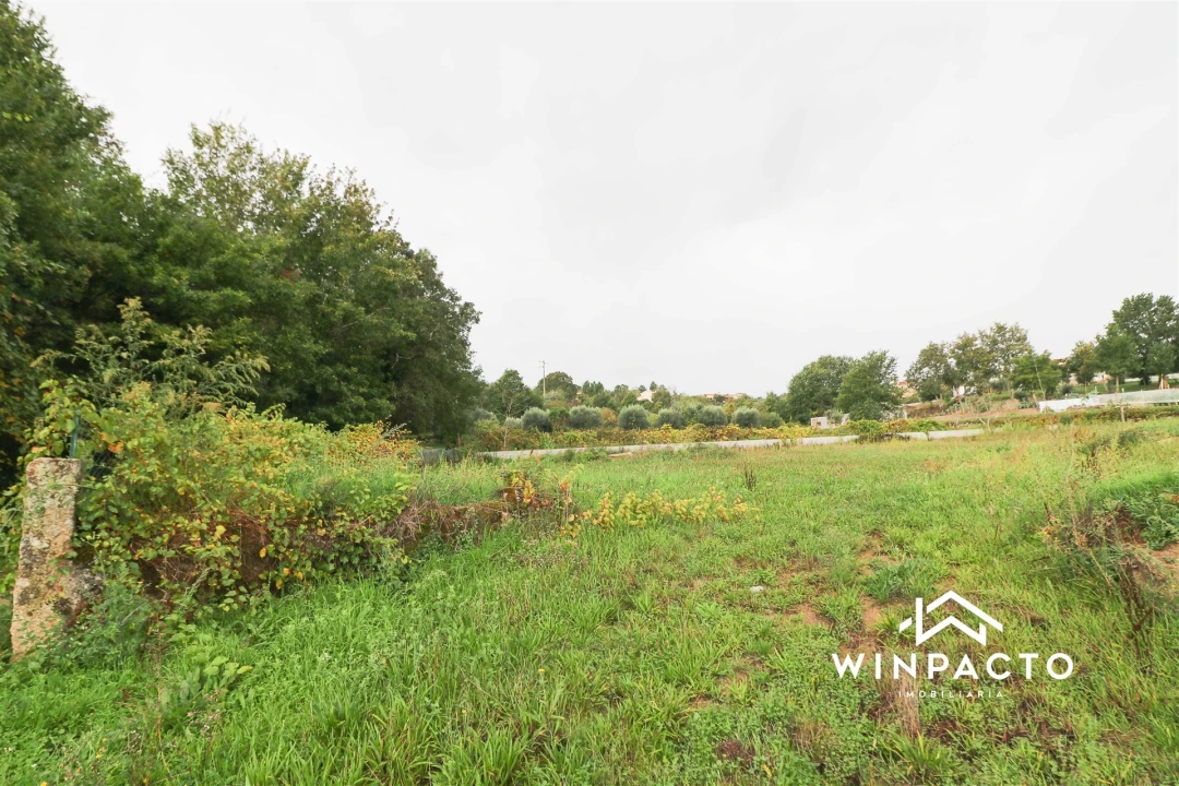 Terreno Agricola ou Rústico para Venda em Senhorim Foto 3